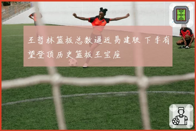 王哲林篮板总数逼近易建联 下季有望登顶历史篮板王宝座